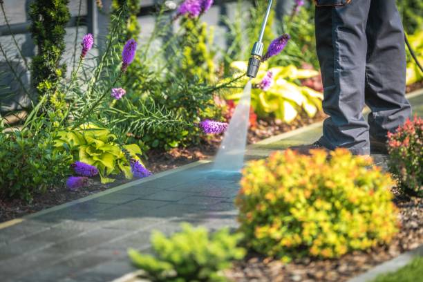 Reliable Yaphank, NY Pressure Washing Services Solutions